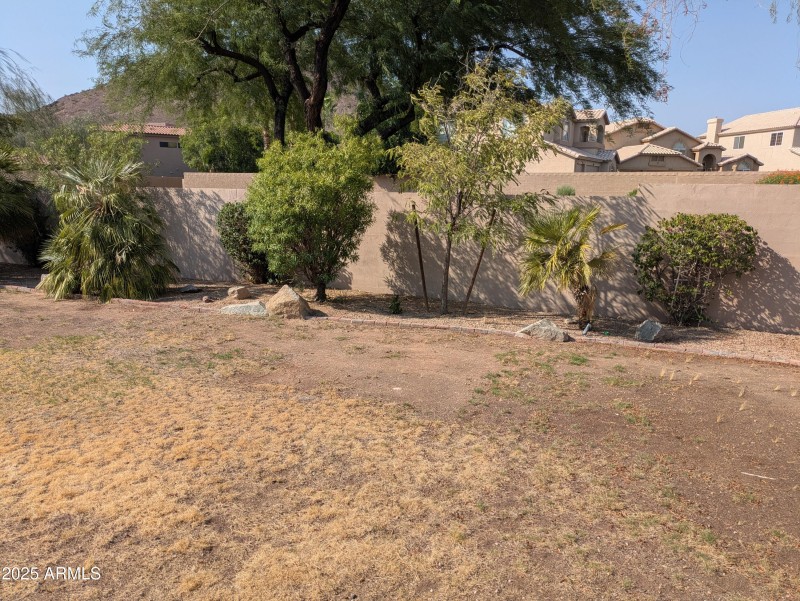 PXL_20250715_232445567