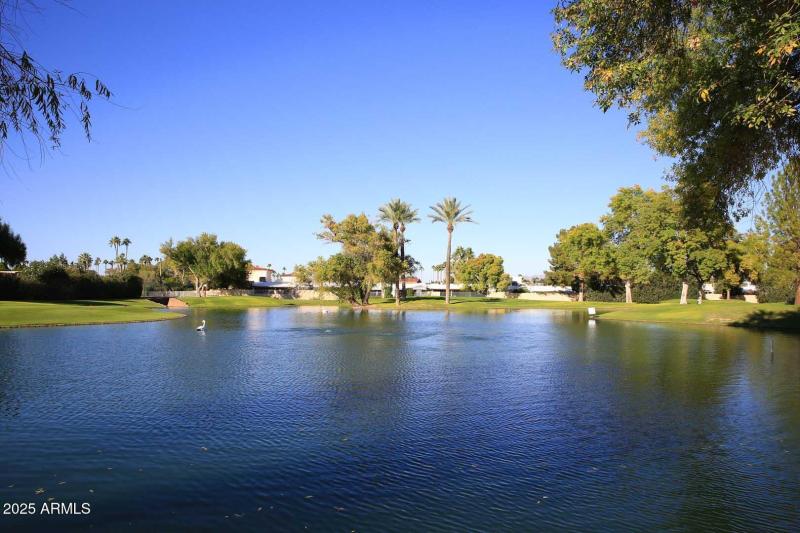 Scottsdale Shadows-Community Pond