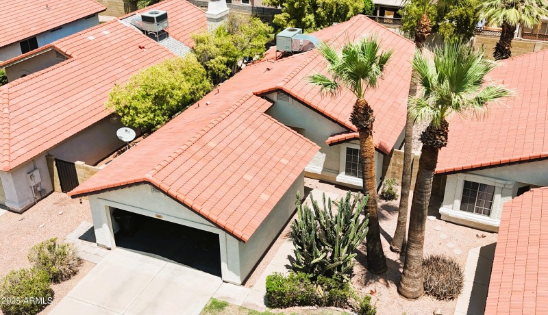 DJI_20250715 2338 Orchid - Jeff (11)