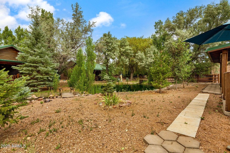 NICE TREES ON THE PROPERTY