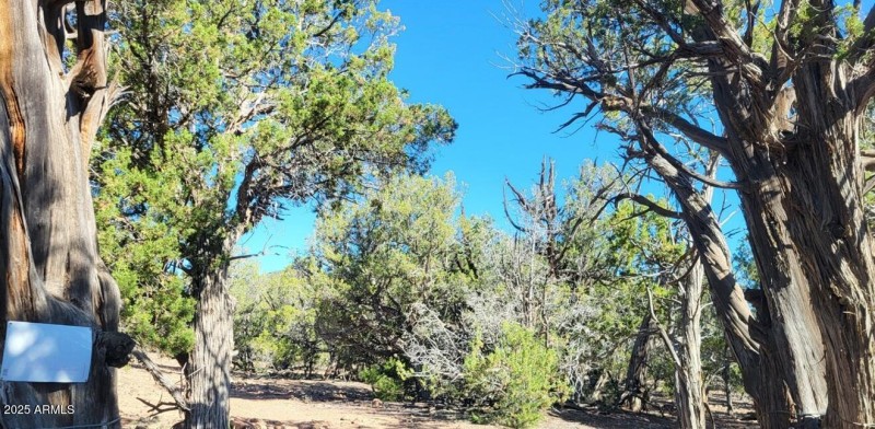 thumbnail_20250612_081557