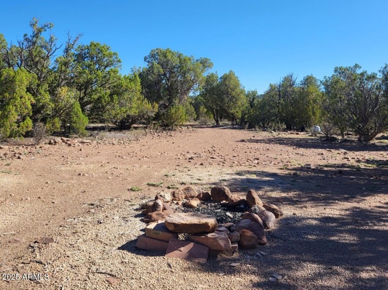 thumbnail_20250612_082008