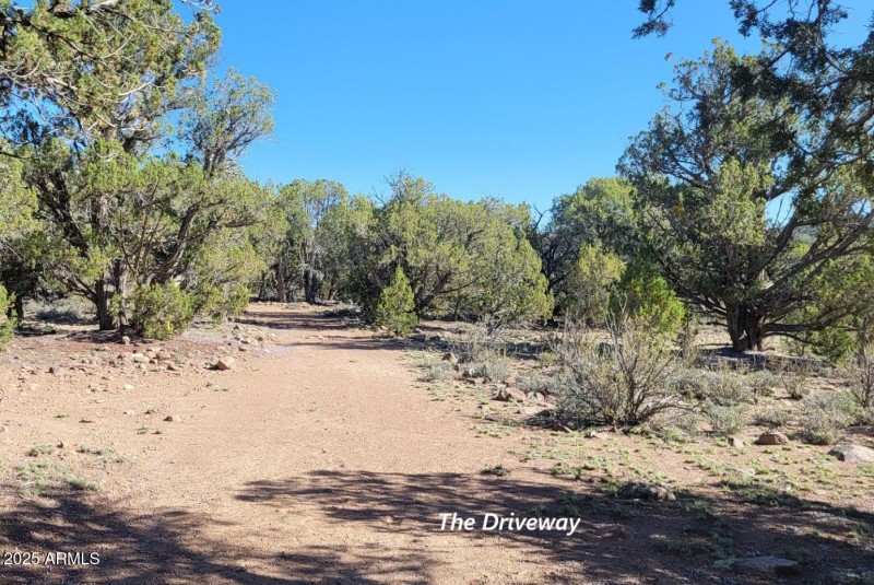 thumbnail_20250612_082116