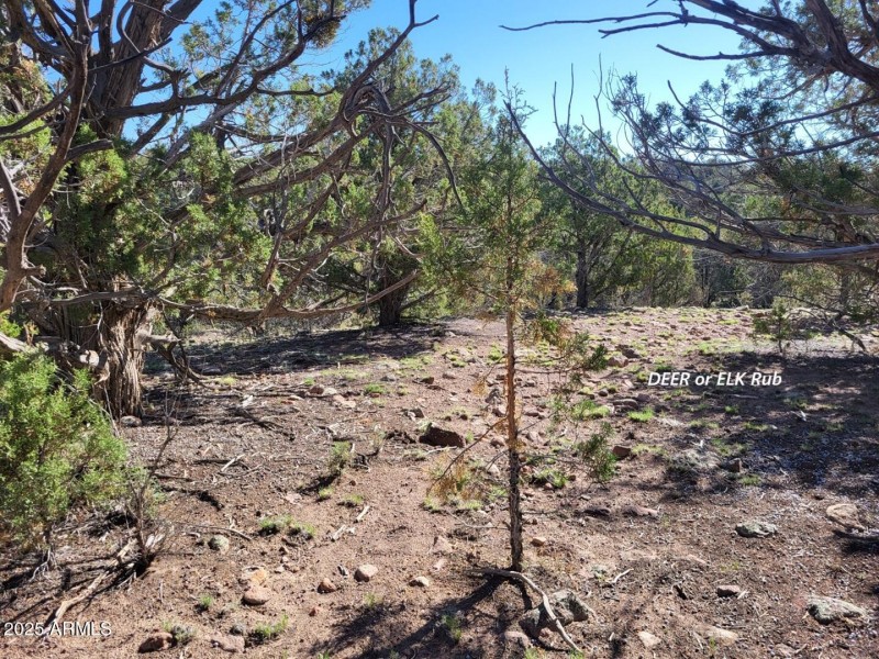 thumbnail_20250612_082416