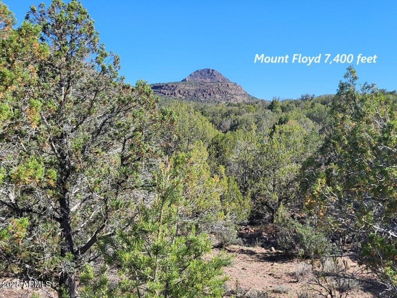 thumbnail_20250612_082456