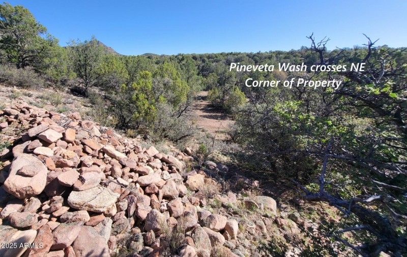 thumbnail_20250612_082750