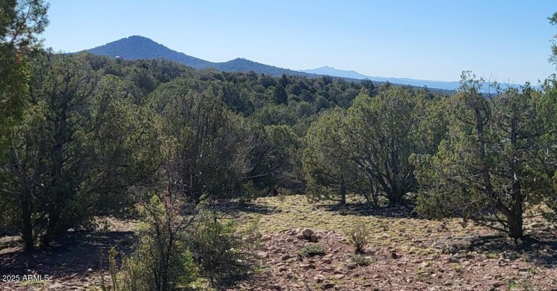 thumbnail_20250612_083152