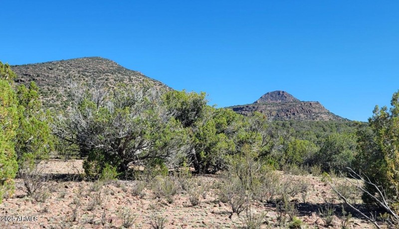 thumbnail_20250612_083849