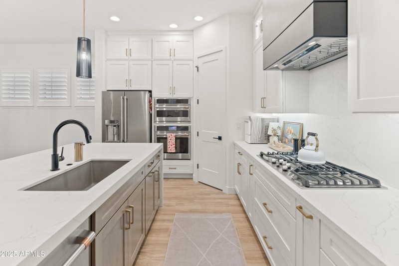 13288 W Golden Puma Trl-50