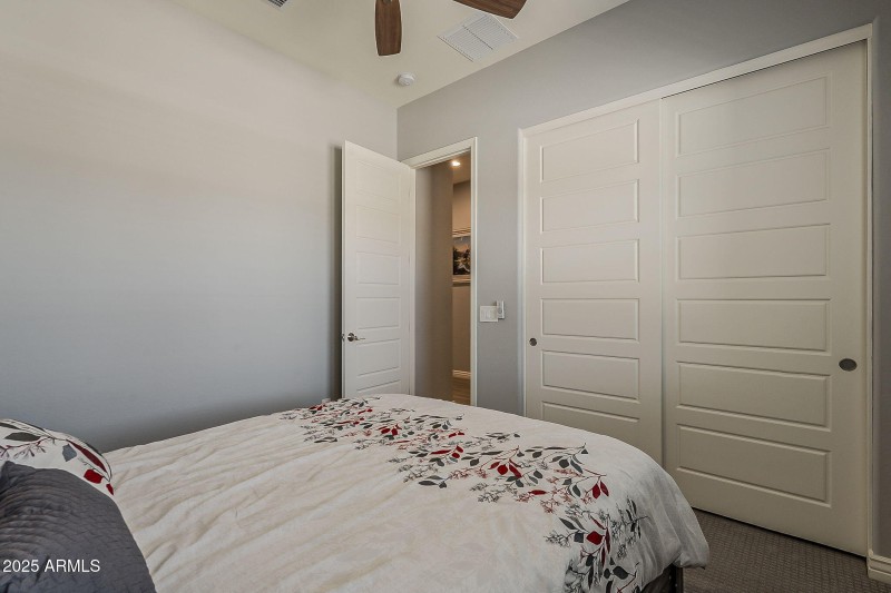 42-web-or-mls-Smoketree-42