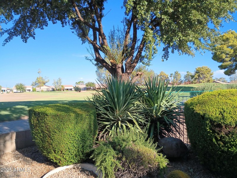 IMG_20250718_172804540