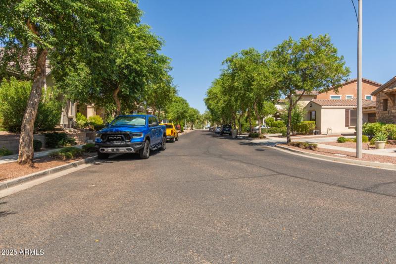 Front.Tree Lined Streets