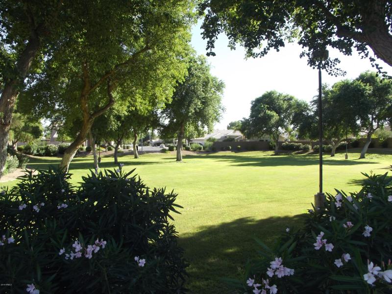 COMMUNITY GRASSY ARE VIEW 2