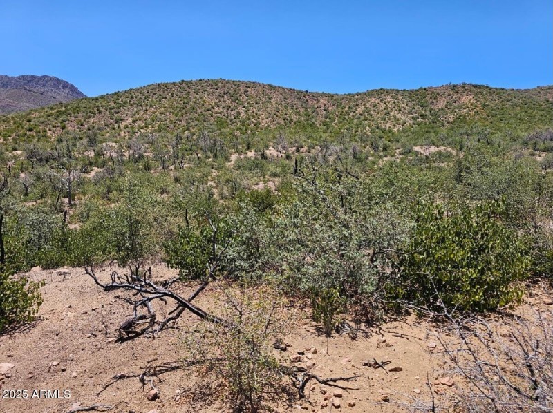 HIll to the South