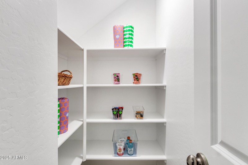 Ample Walk-In Pantry