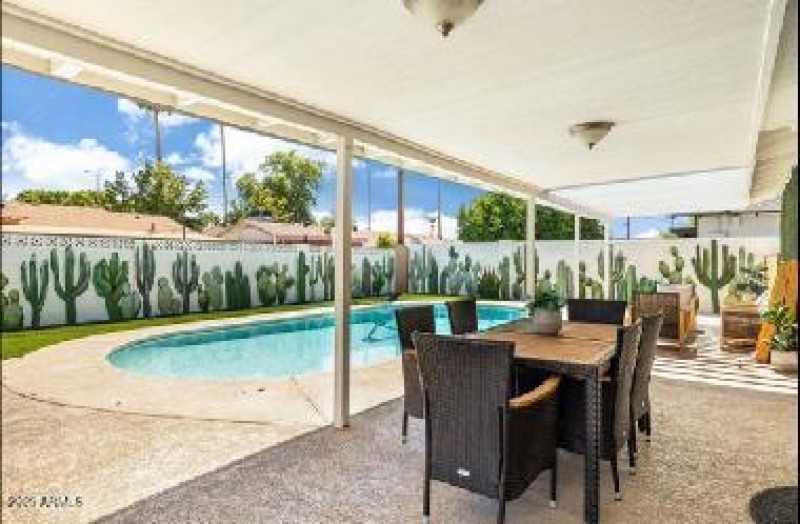 Back Yard and Patio