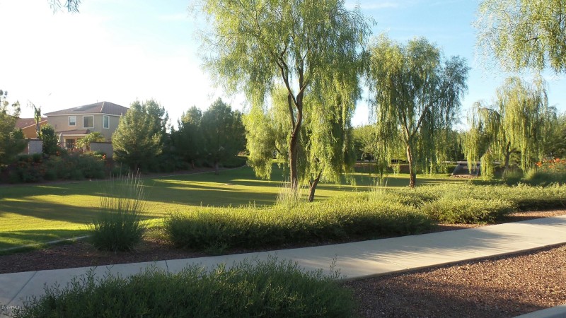 20141003_170820_resized_1