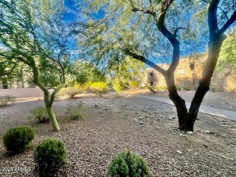 20241129183317367938000000-o