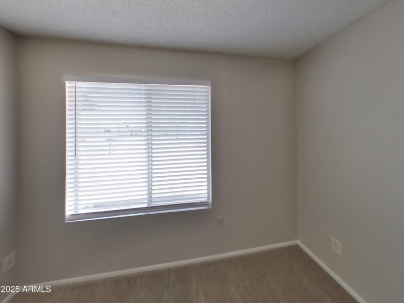 17_pc_iXDIveTxQi_K5x50ng8Y4_layout_1