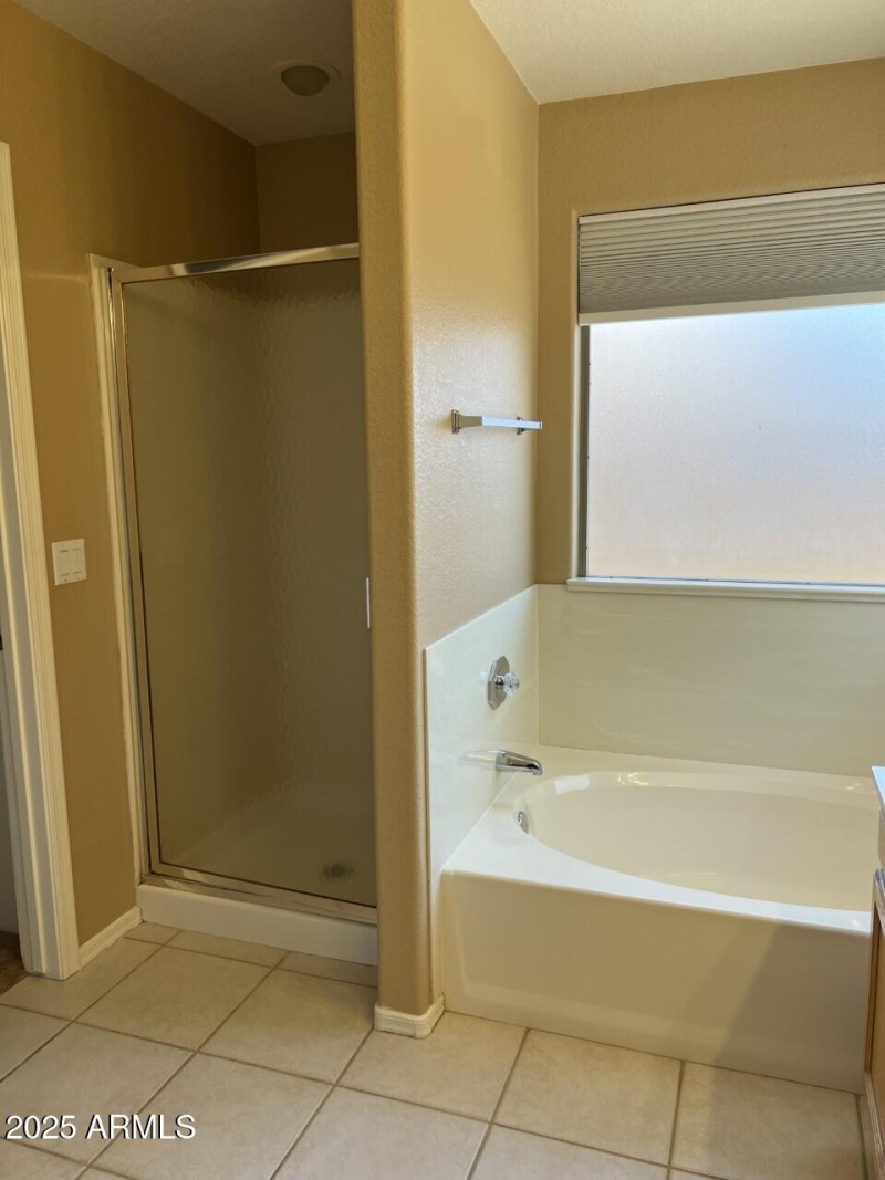 Mstr Bath Shower & Tub