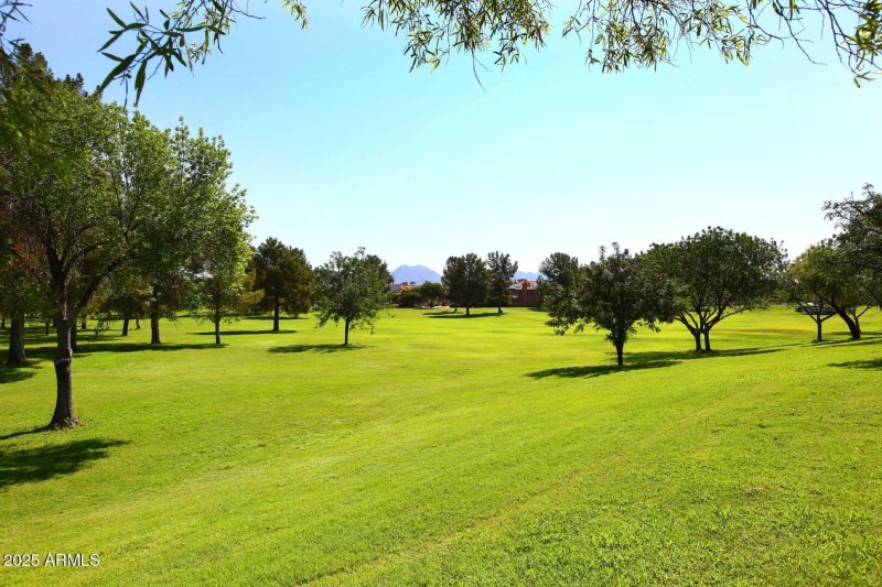 Crossed Arrows Park2