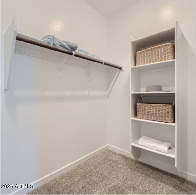 Owner's Walk in Closet