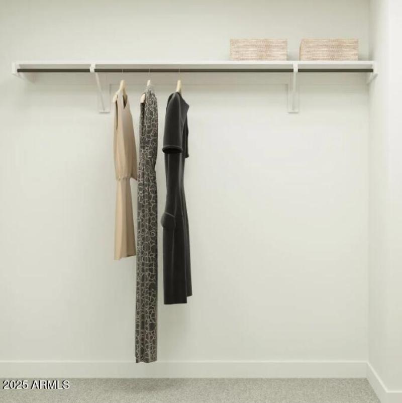 Owner's Walk in Closet