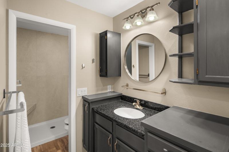 Lower Level Bathroom