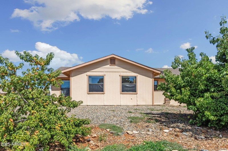 35_Peach and Apricot Trees