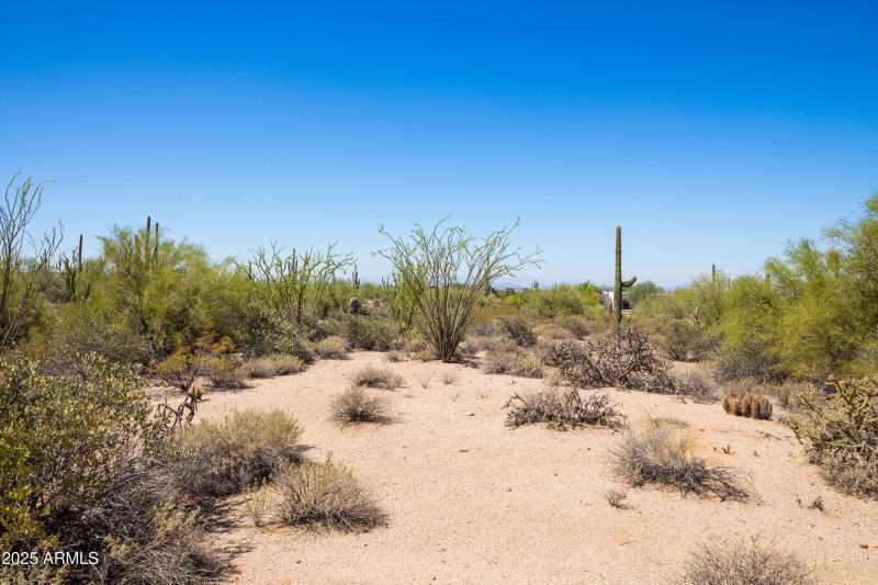 Natural Desert