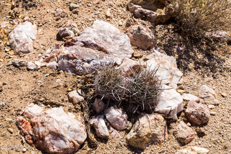 Natural Stones