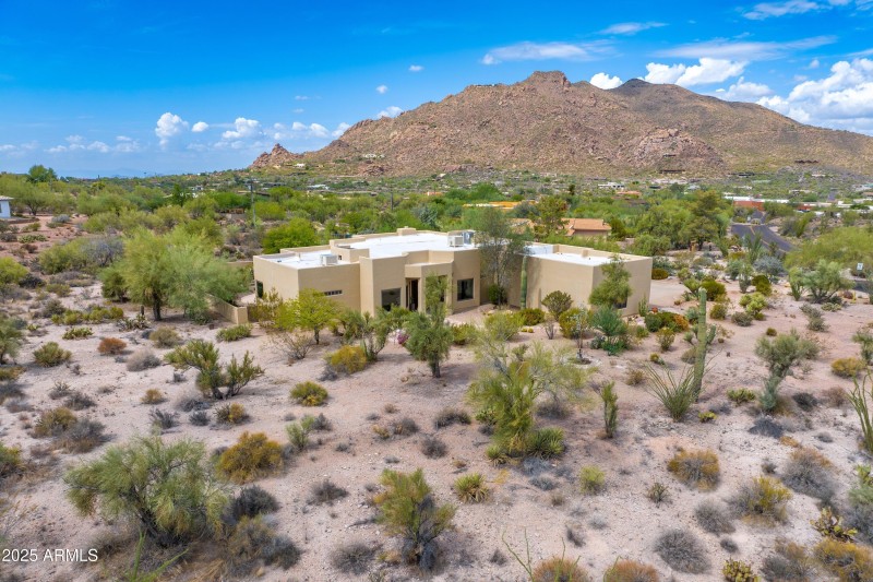 Numerous Native Desert Plants