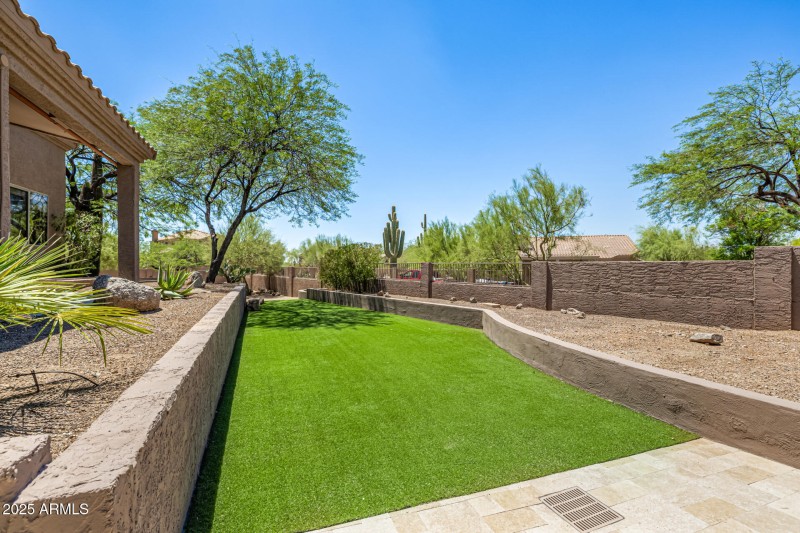 Low-Maintenance Turf Backyard