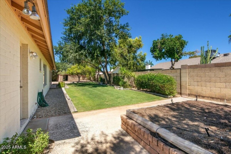 041_41Back Yard Details