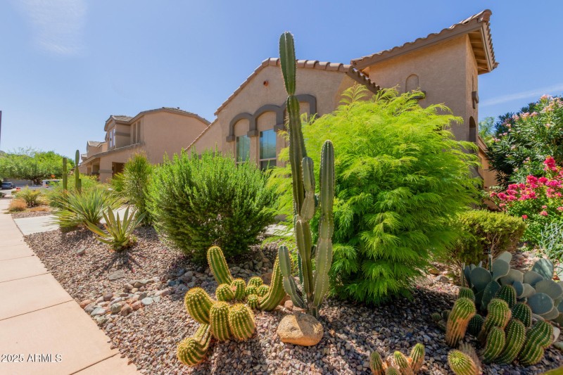 05 - Gran Paradiso 3017