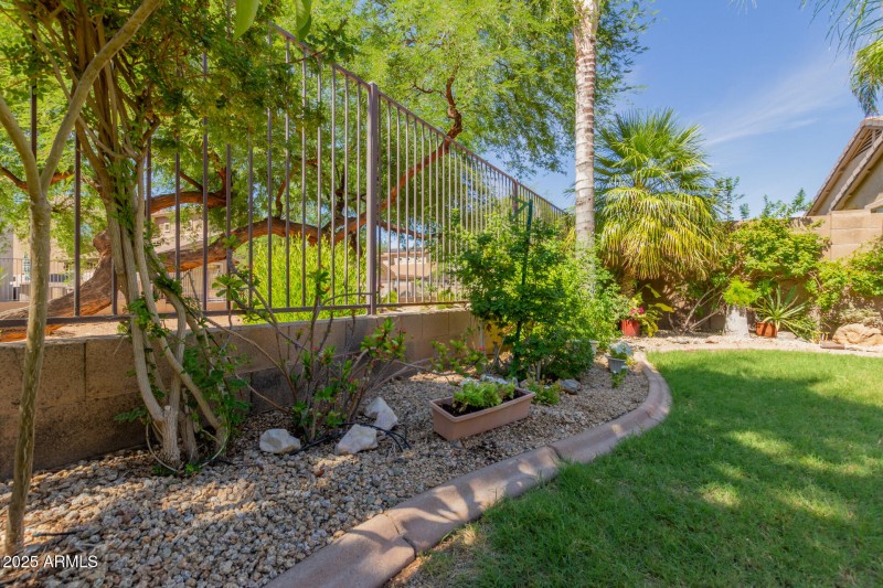 40 - Gran Paradiso 3017