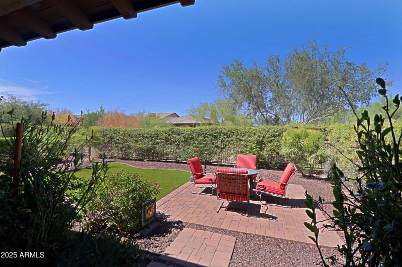 Backyard 1