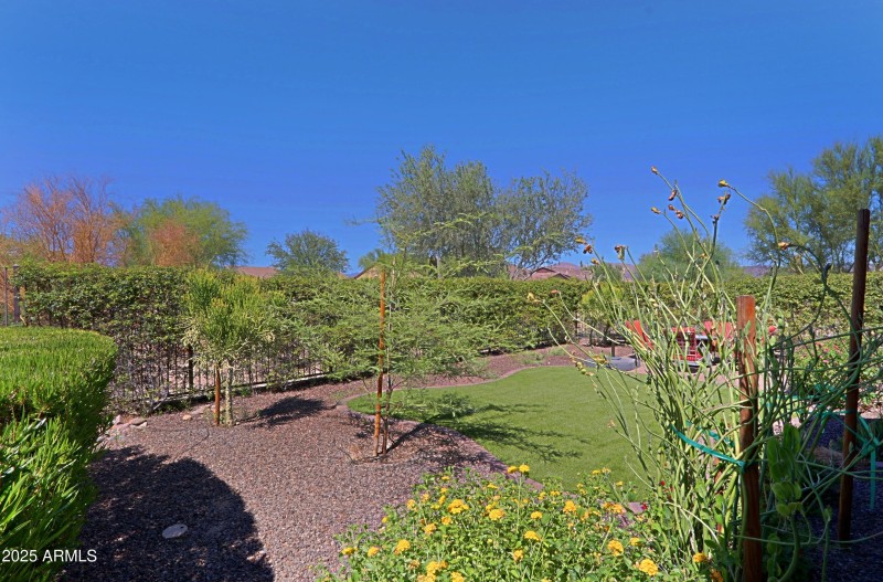 Backyard 2