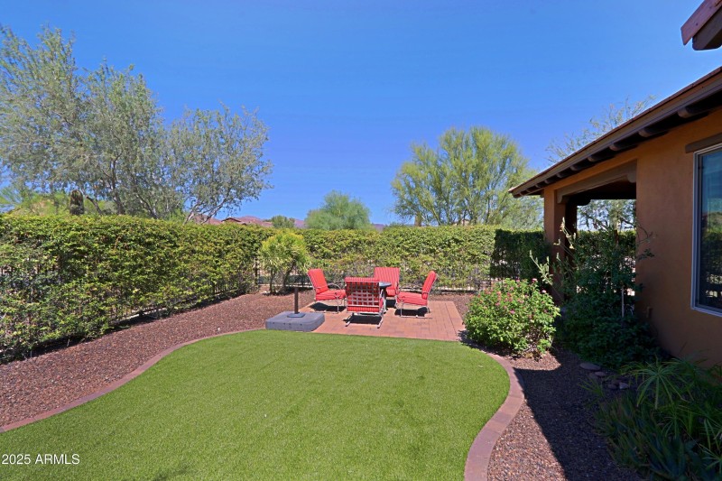 Backyard 3