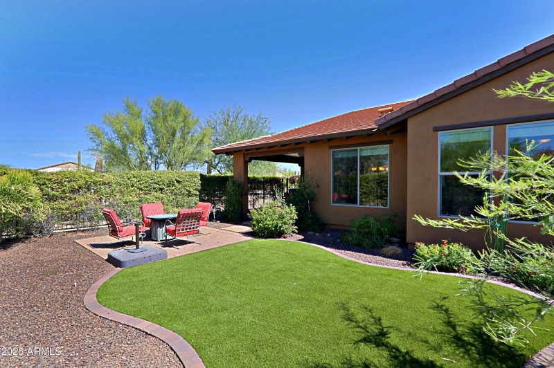 Backyard 5