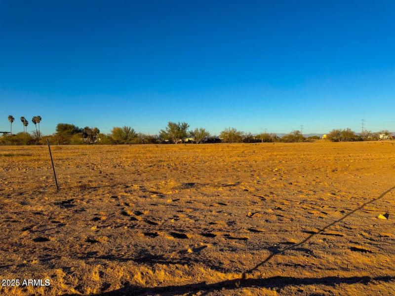 20250124212807591371000000-o