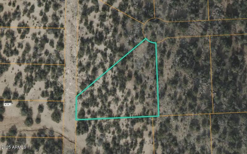 Screenshot 2025-07-29 105956