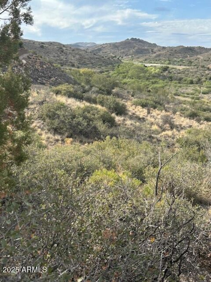 Loads of Natural Vegetation