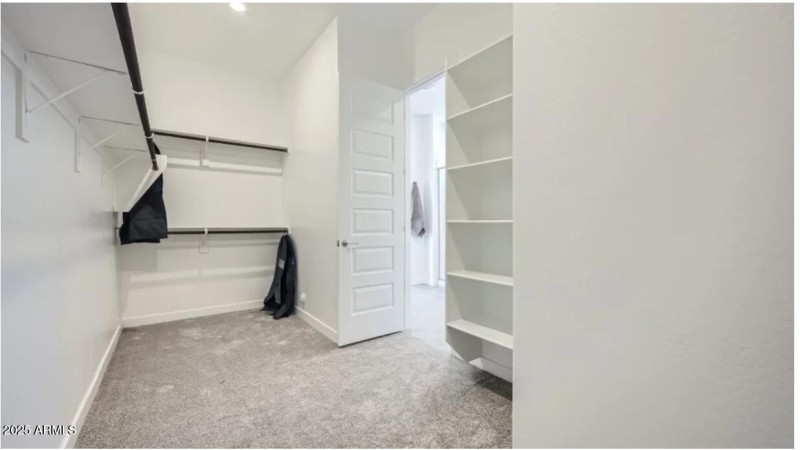 Owners Walk in Closet