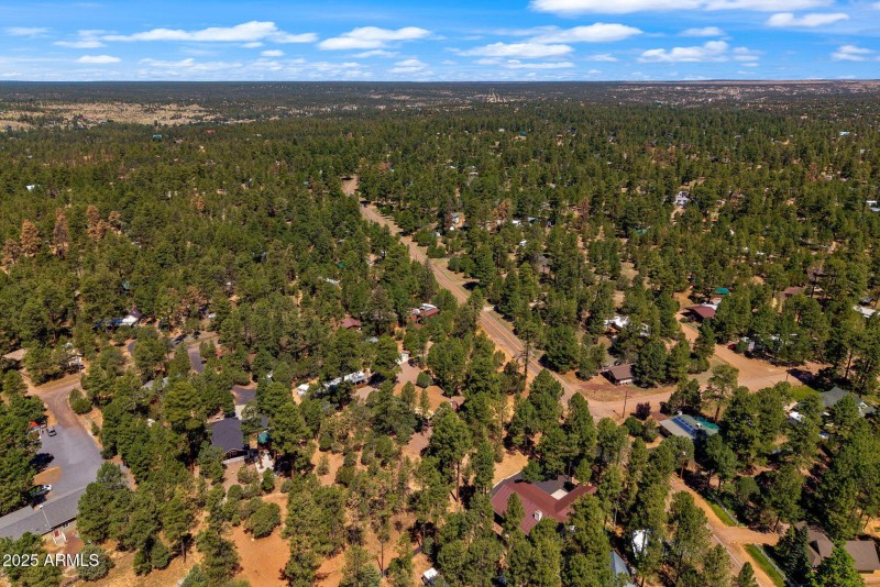 2884PineRimRoad-Overgaard-AZ-8