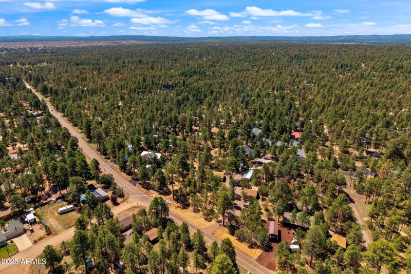 2884PineRimRoad-Overgaard-AZ-10