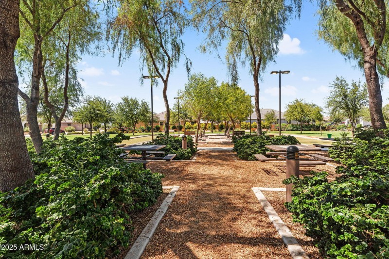 55-web-or-mls-DSC04138