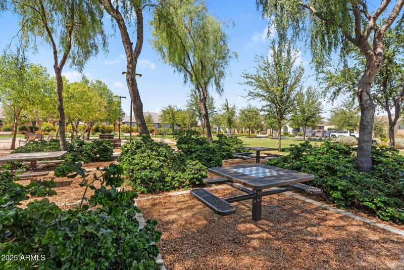 56-web-or-mls-DSC04141