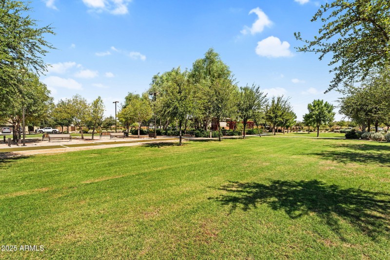 64-web-or-mls-DSC04165