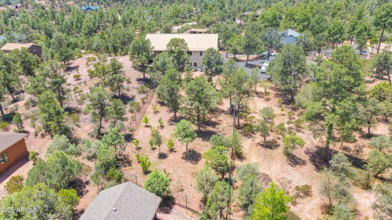 mls-dji_fly_20250703_120046_256_17516639